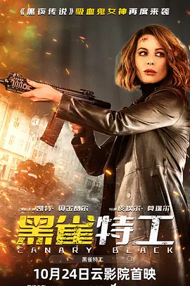 黑雀特工202 英语