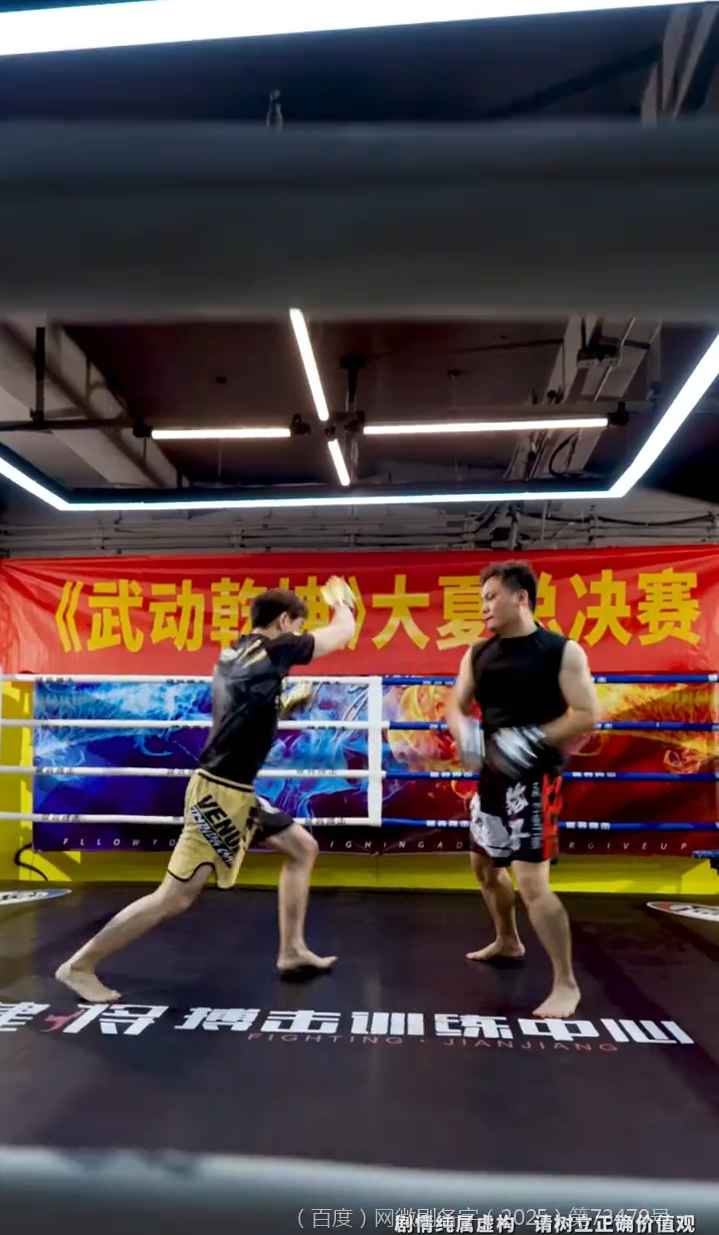 武驰人生2之飓风营救(全集)