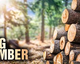 终极伐木达人第一季(全集)