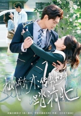 枫城奇才：传承加身踏清北(全集)