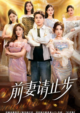 前妻请止步(全集)