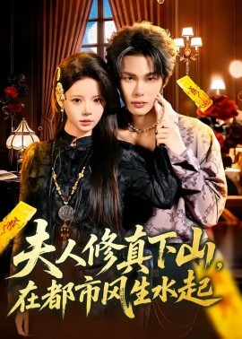 夫人修真下山，在都市风生水起(全集)