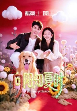 向阳知夏时(全集)